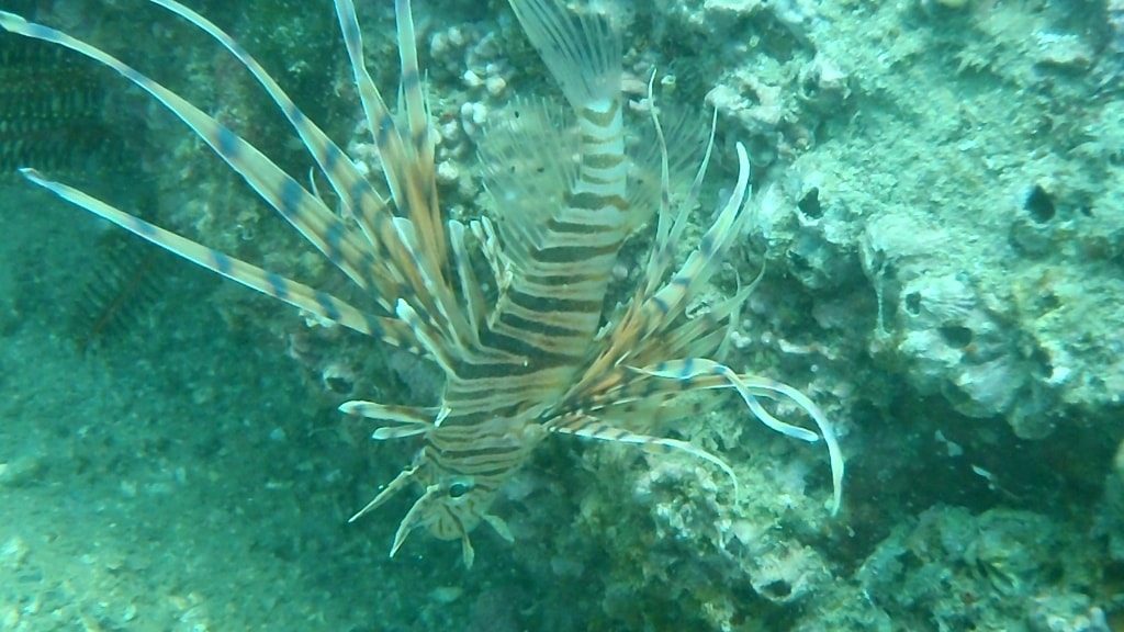 20180624恋の浦
