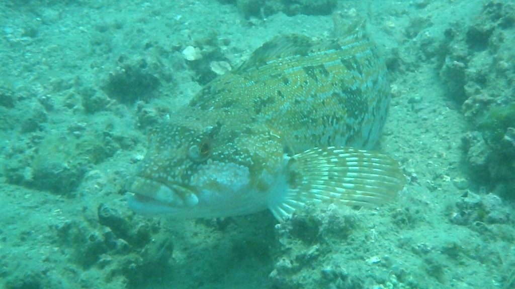 20180624恋の浦