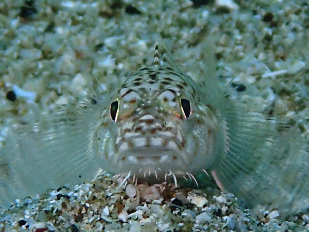 20180609恋の浦