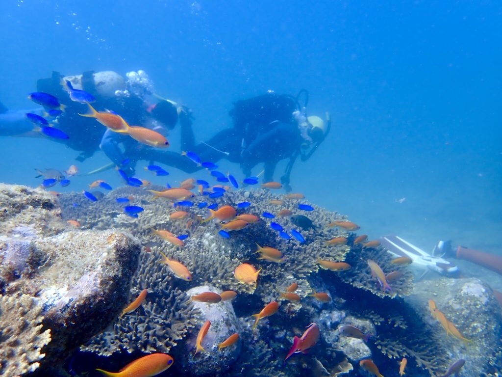 20180725柏島