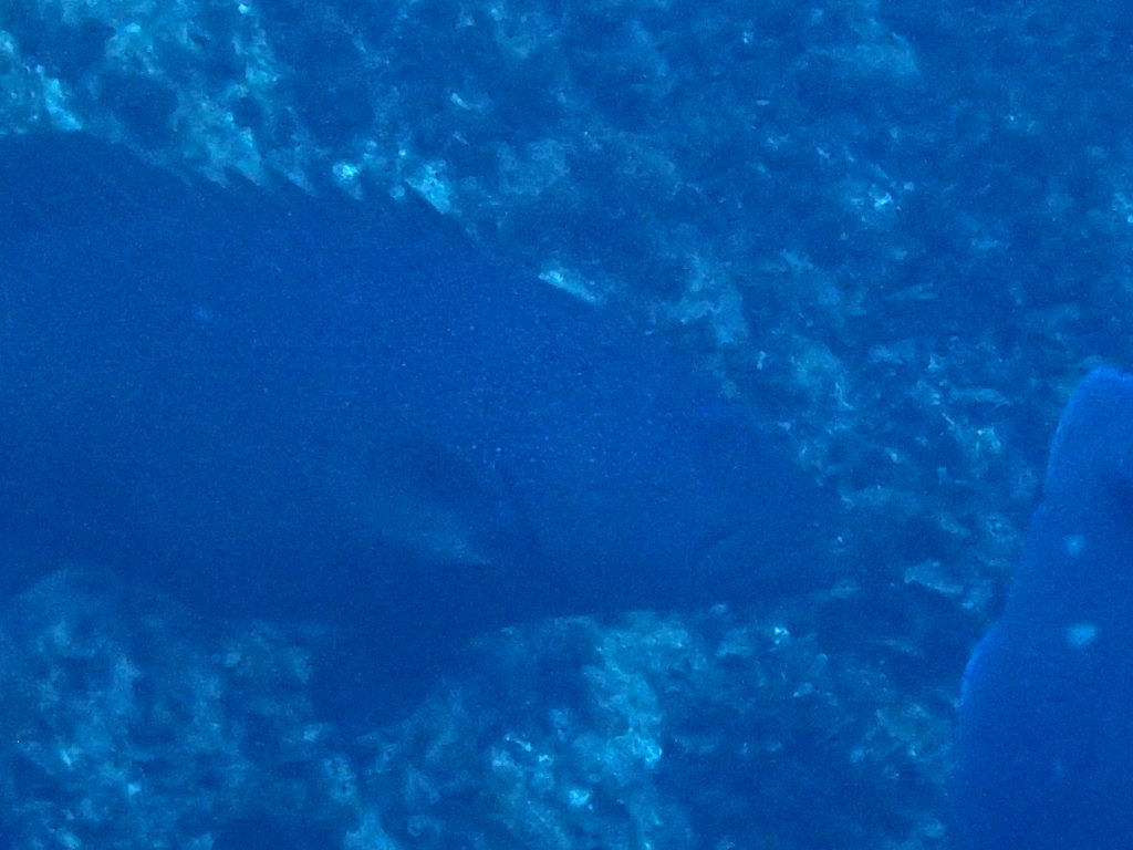20180819沖ノ島