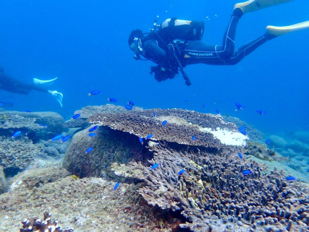 20180924柏島