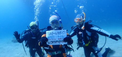 20181024奄美大島