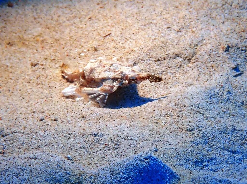 20191019奄美大島