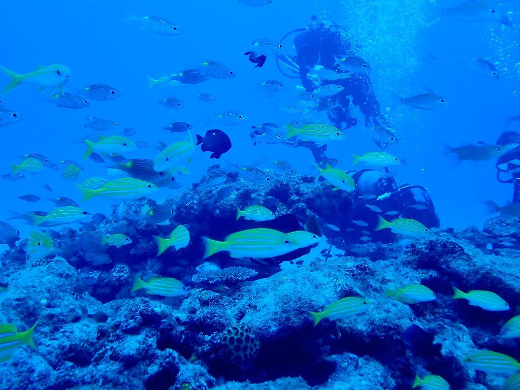 20191019奄美大島