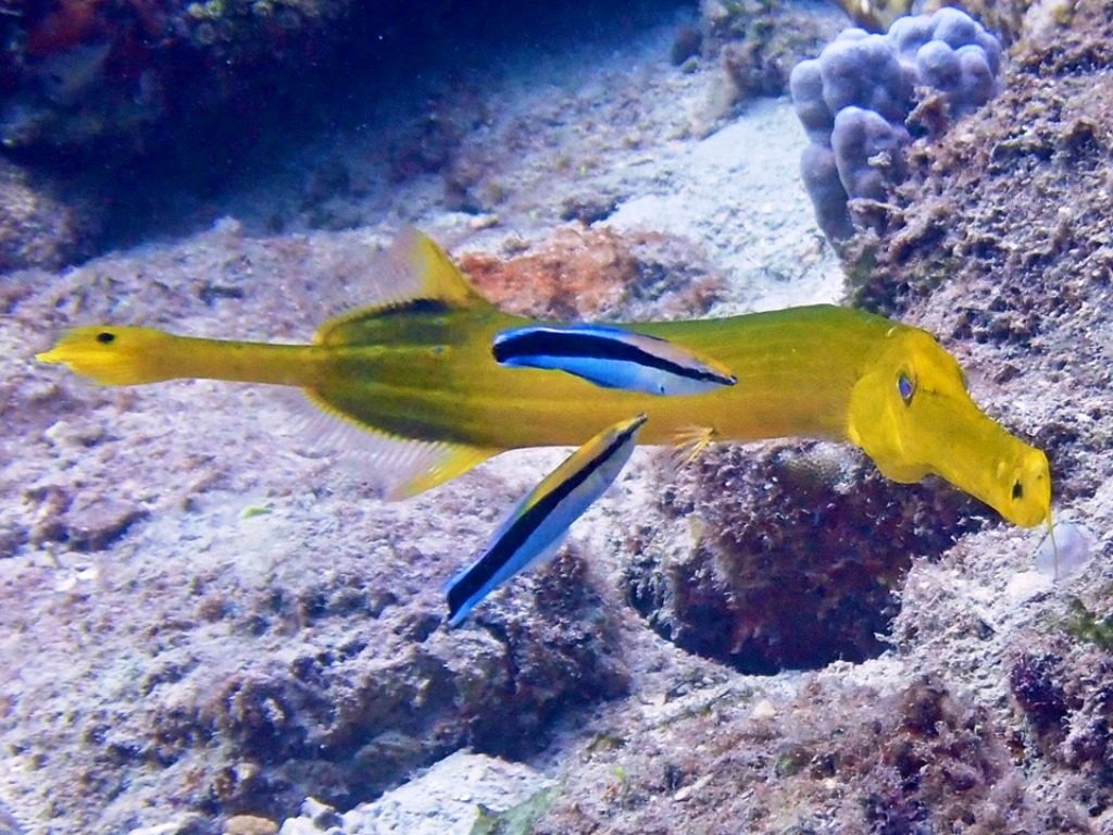 20191021奄美大島