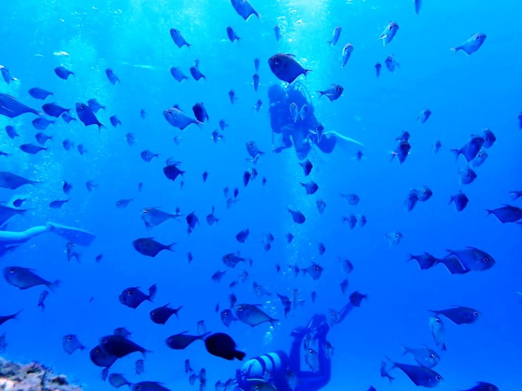 20191021奄美大島