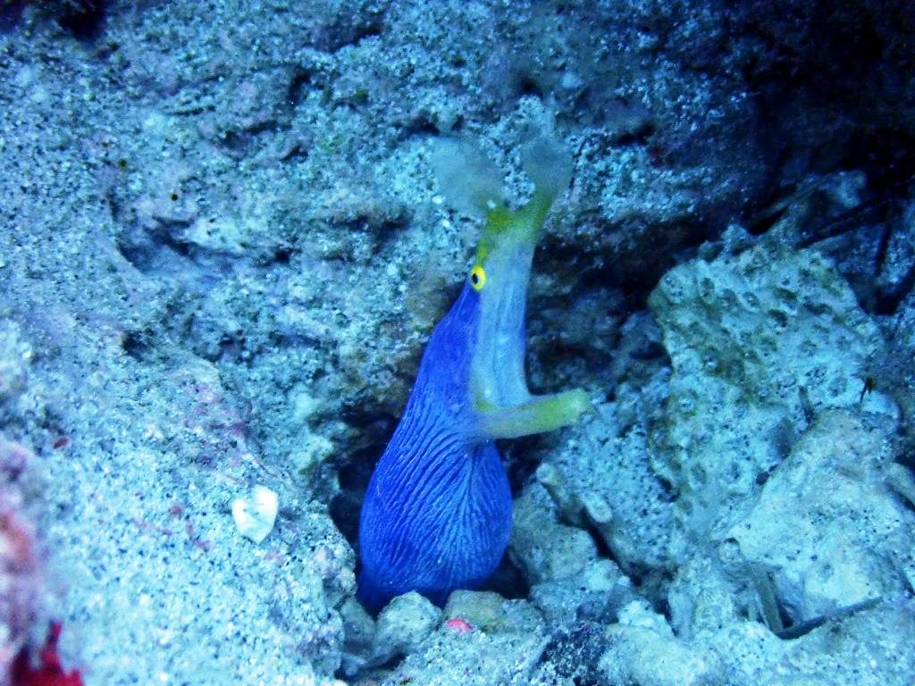 20191019奄美大島