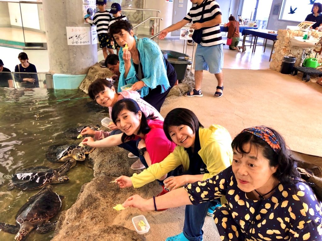 20191022奄美大島