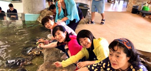 20191022奄美大島