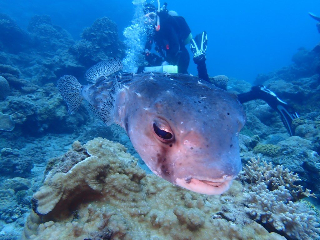 20191020奄美大島