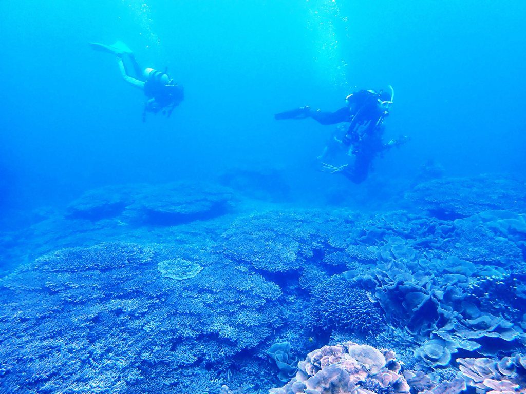 20191020奄美大島