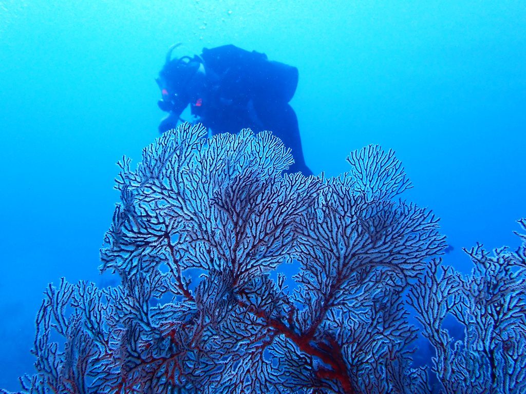20191021奄美大島