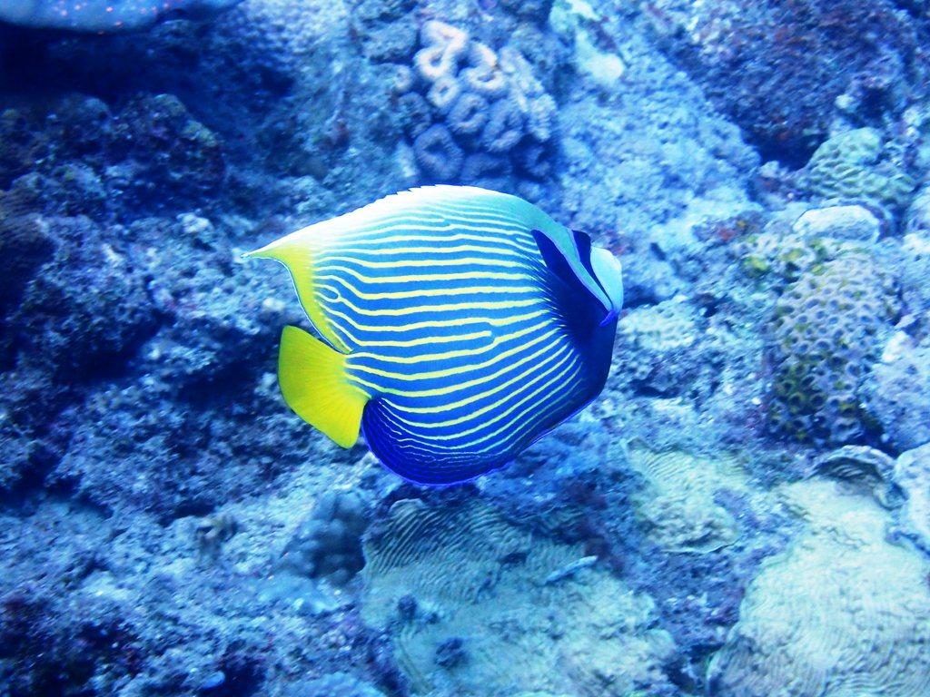 20191021奄美大島