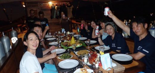 20191108ラジアンパット