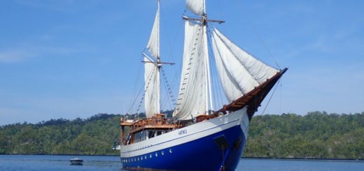 20191107ラジアンパット