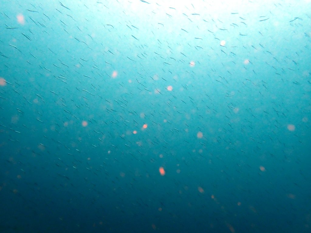 20200606芦屋沖