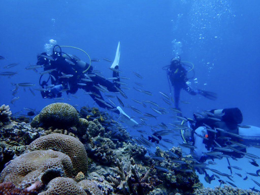 20200724伊平屋島