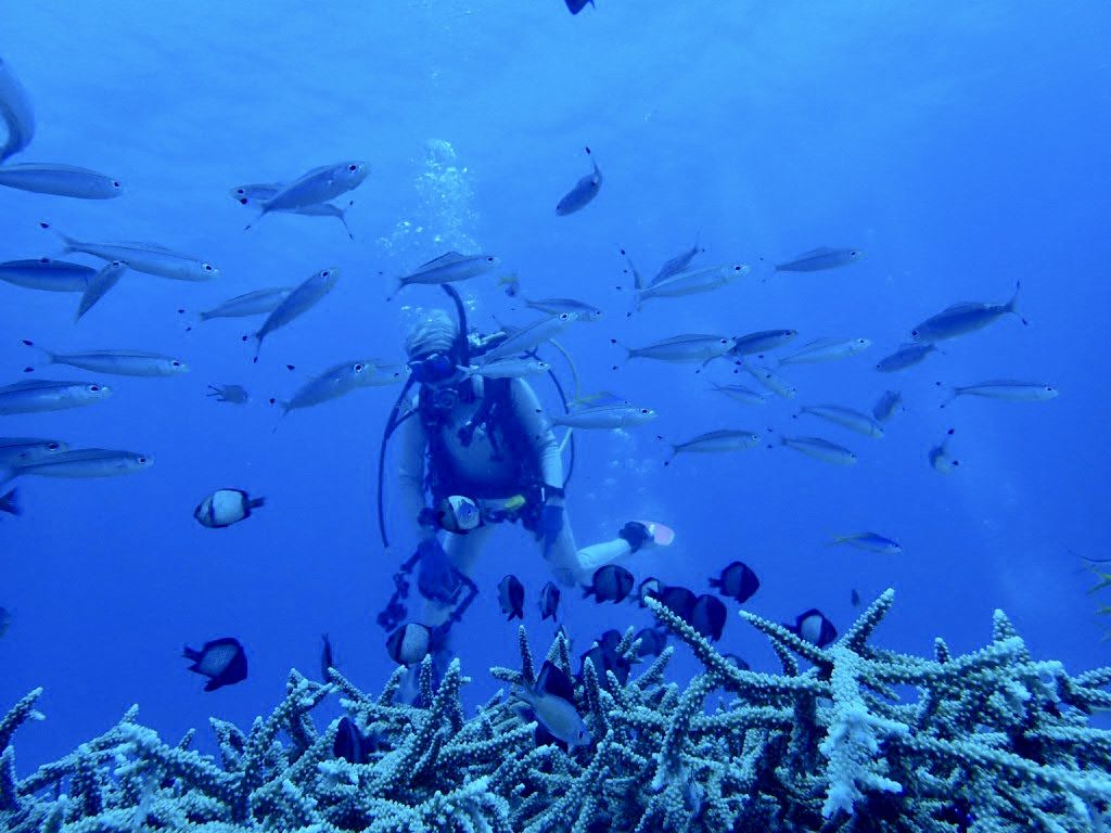 20200724伊平屋島