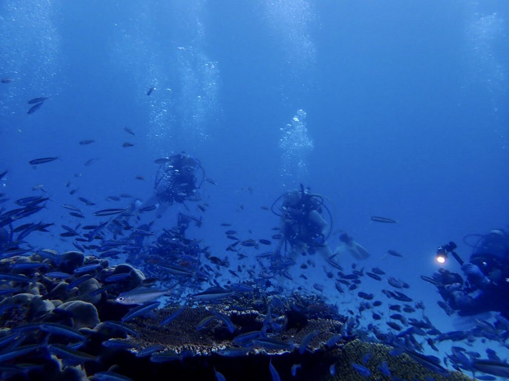 20200724伊平屋島