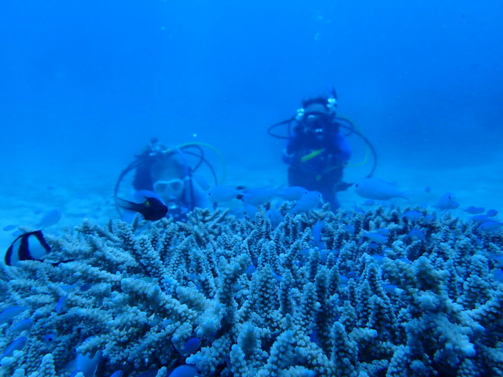 20200725伊平屋島