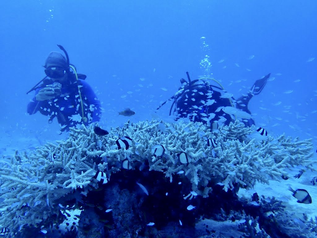 20200725伊平屋島