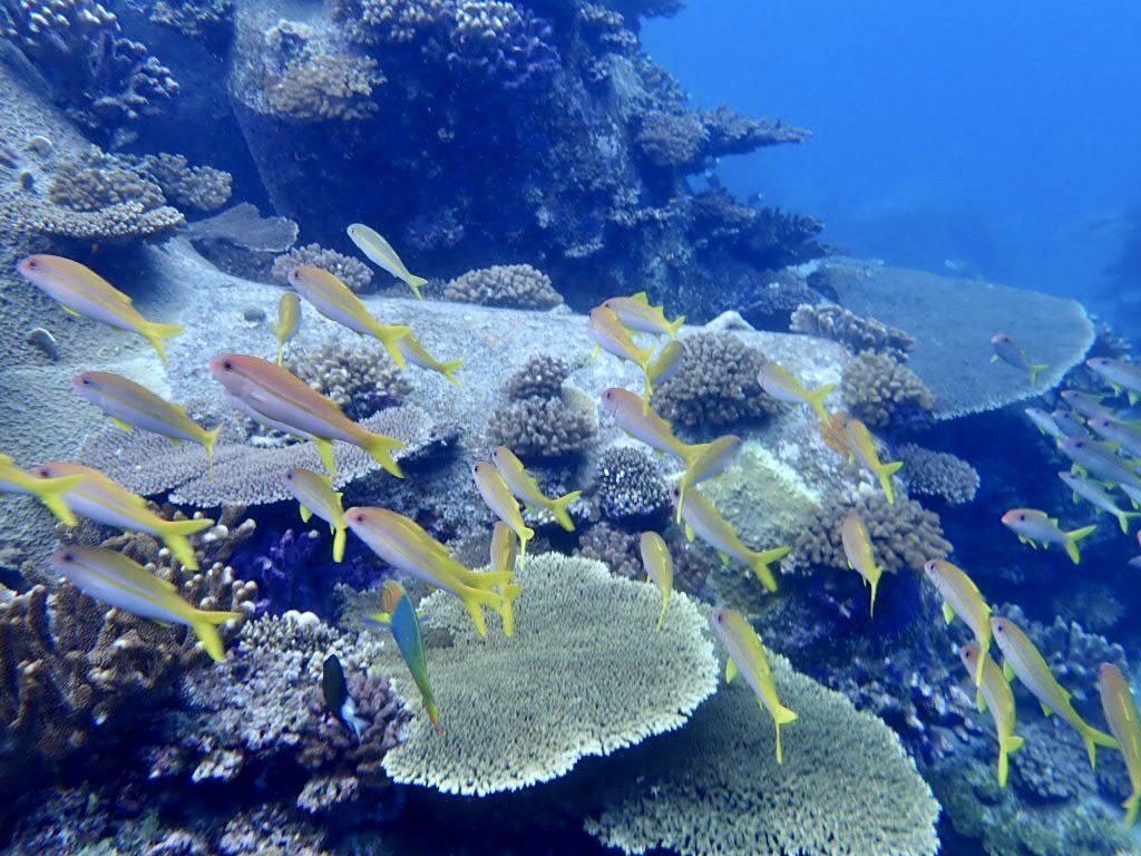 20200725伊平屋島