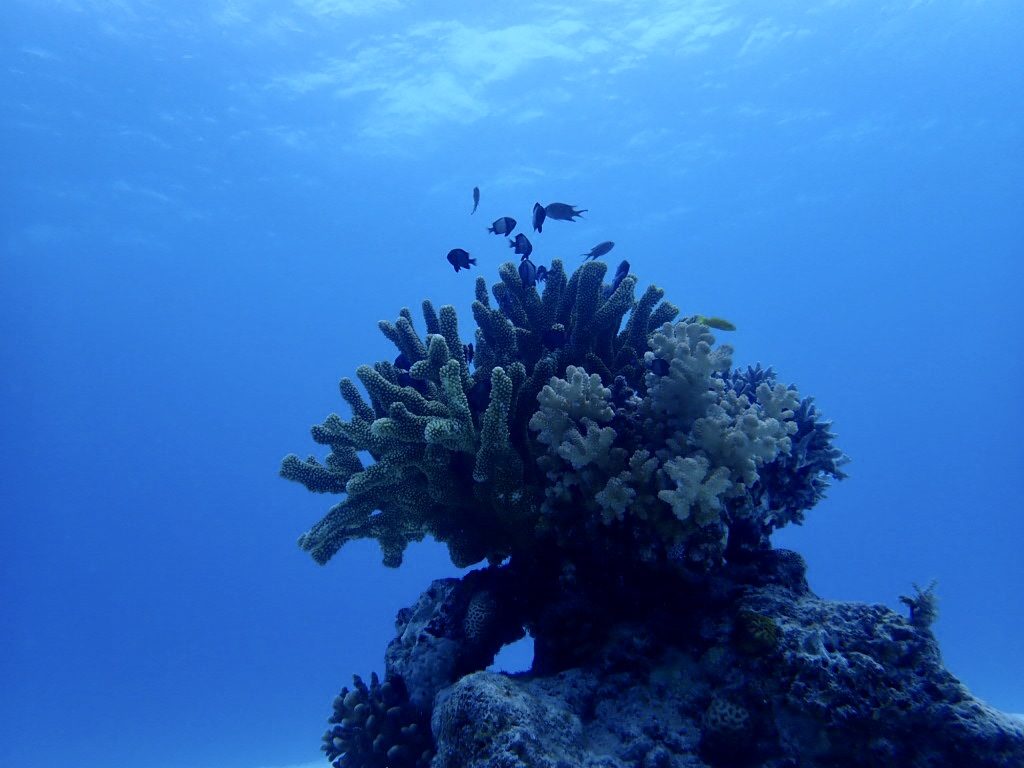 20200724伊平屋島