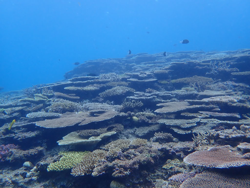 20200725伊平屋島