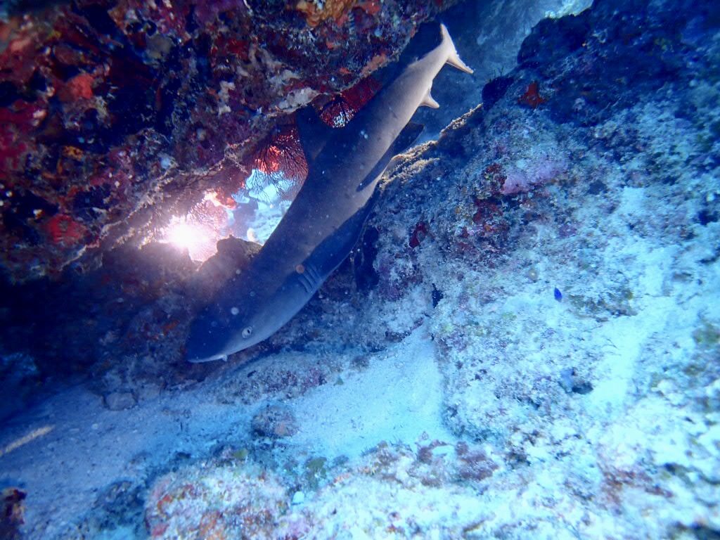 20200725伊平屋島