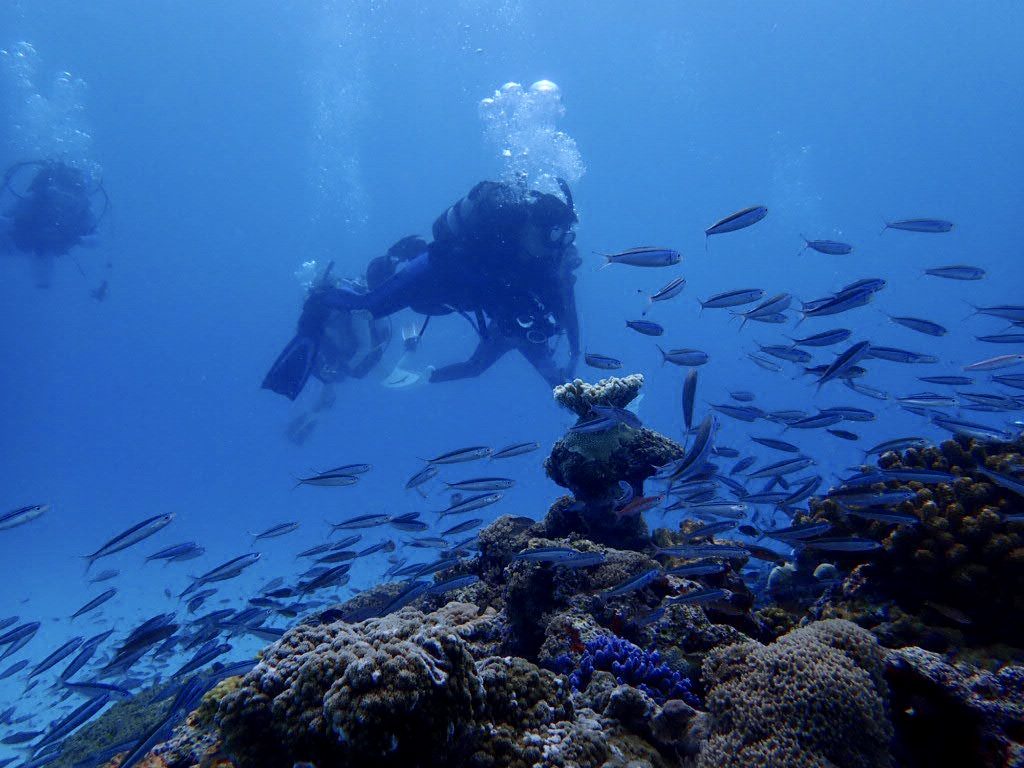20200724伊平屋島