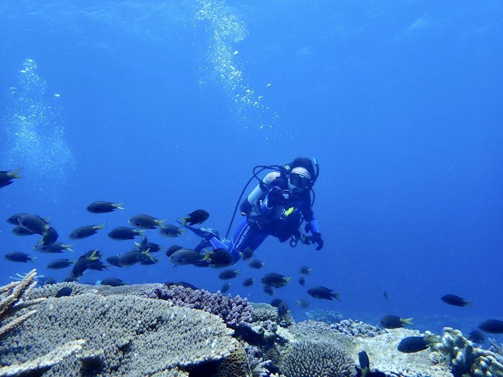 20200724伊平屋島