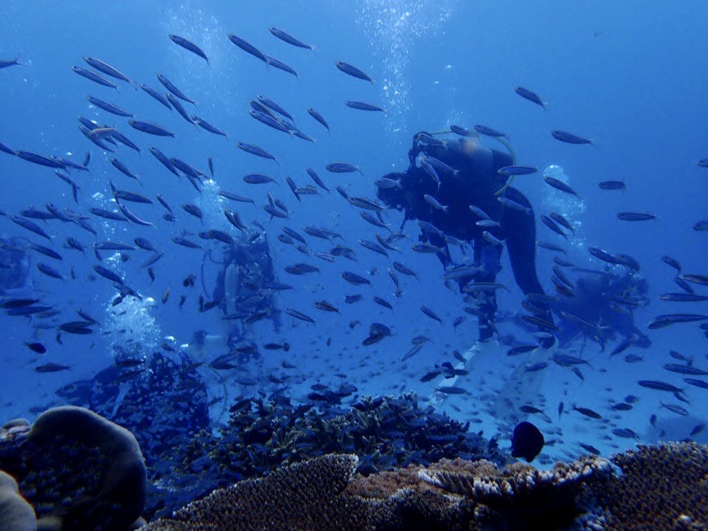 20200724伊平屋島