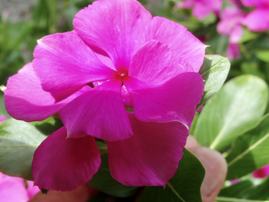 20200724伊平屋島