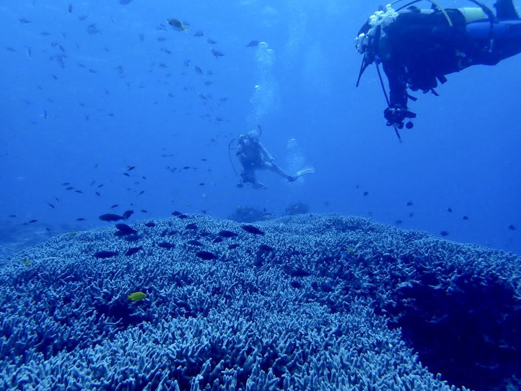 20200725伊平屋島