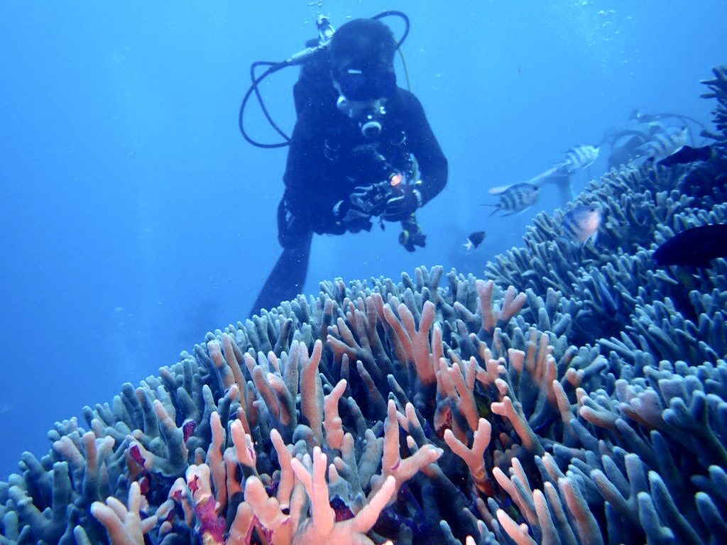 20200723伊平屋島