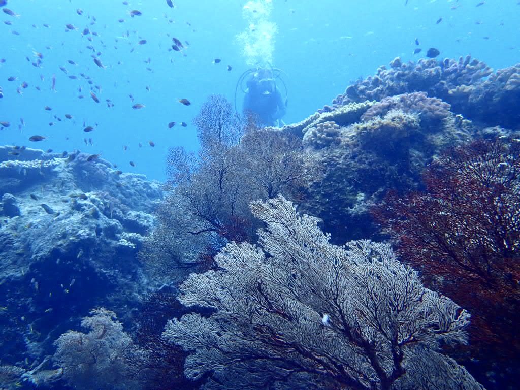 20200725伊平屋島