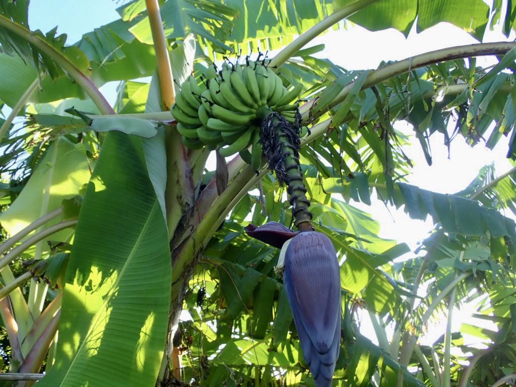 20200724伊平屋島