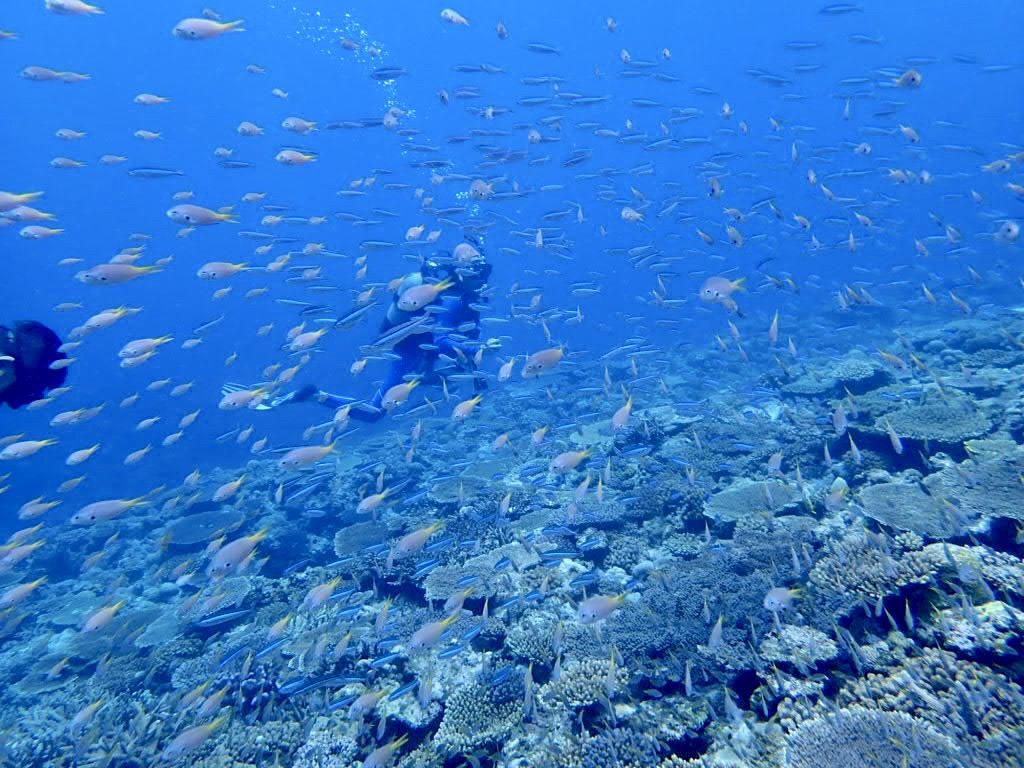 20200724伊平屋島