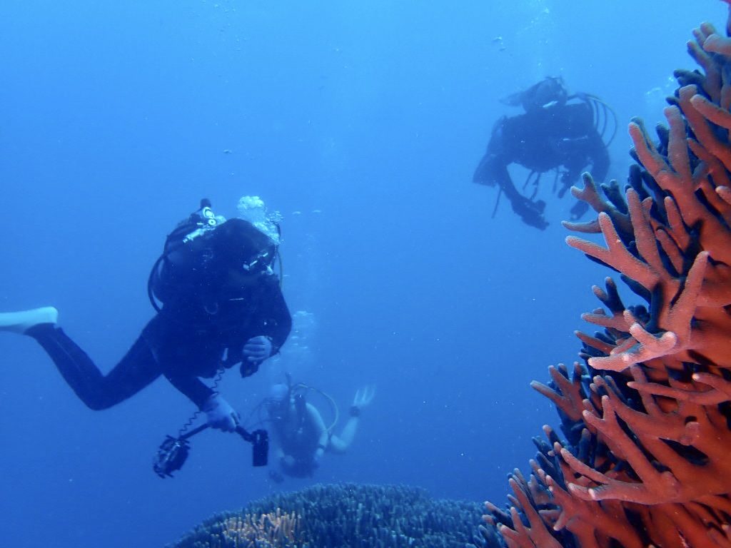 20200723伊平屋島