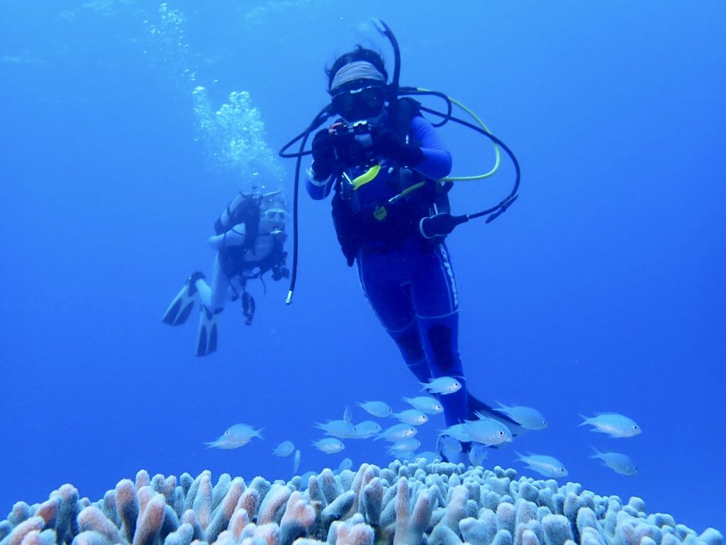 20200725伊平屋島