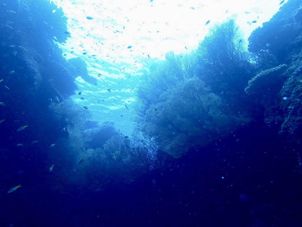 20200725伊平屋島