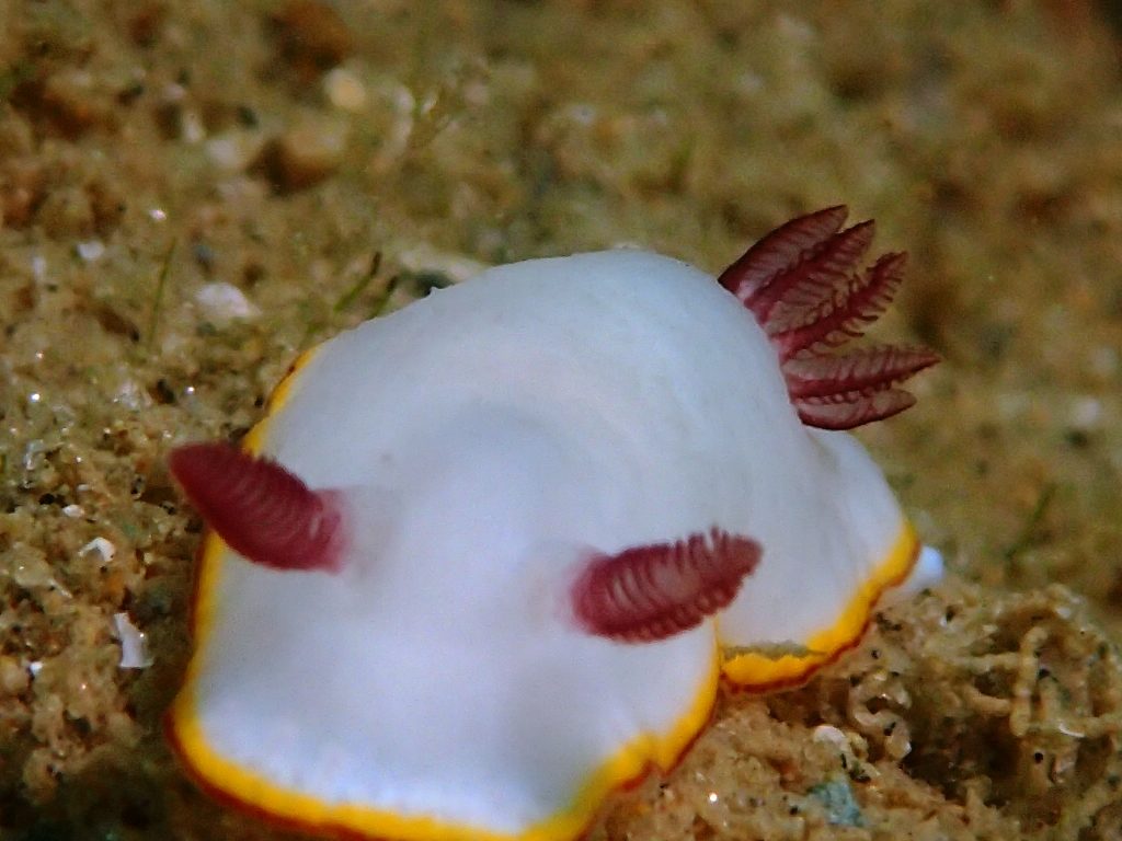 20200808恋の浦