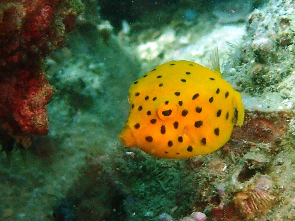 20200808恋の浦