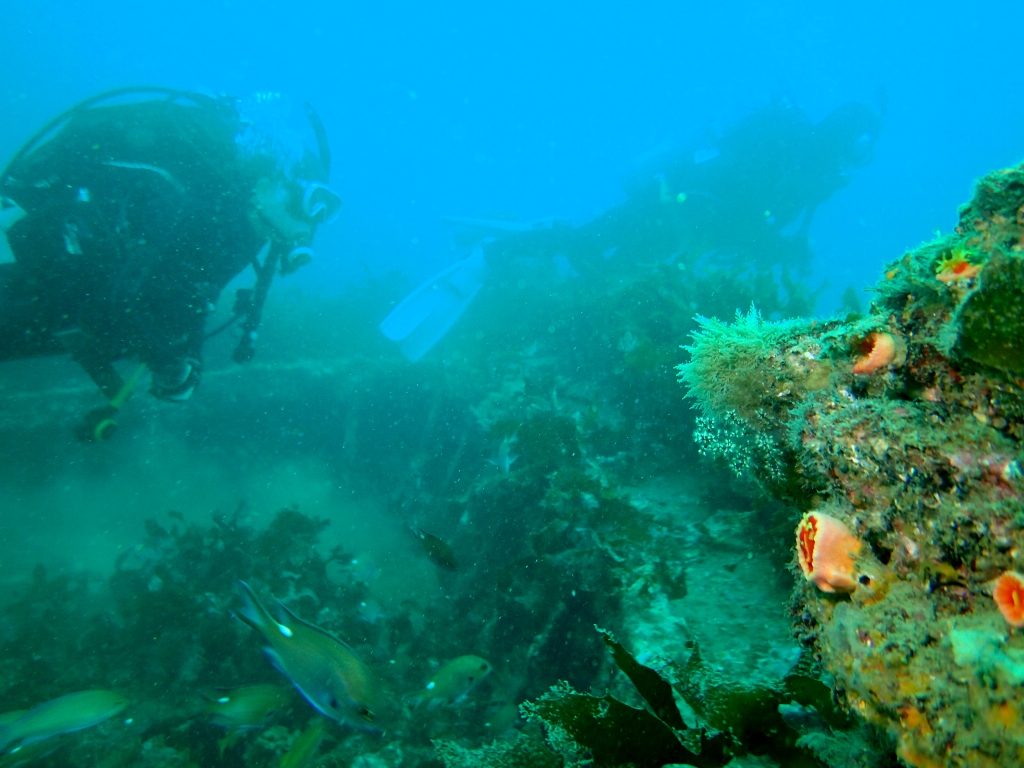 20200920蓋井沈船