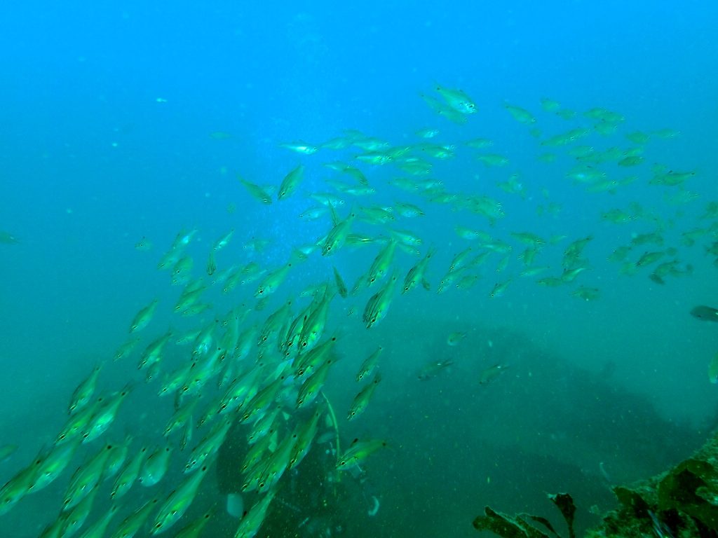 20200920蓋井沈船