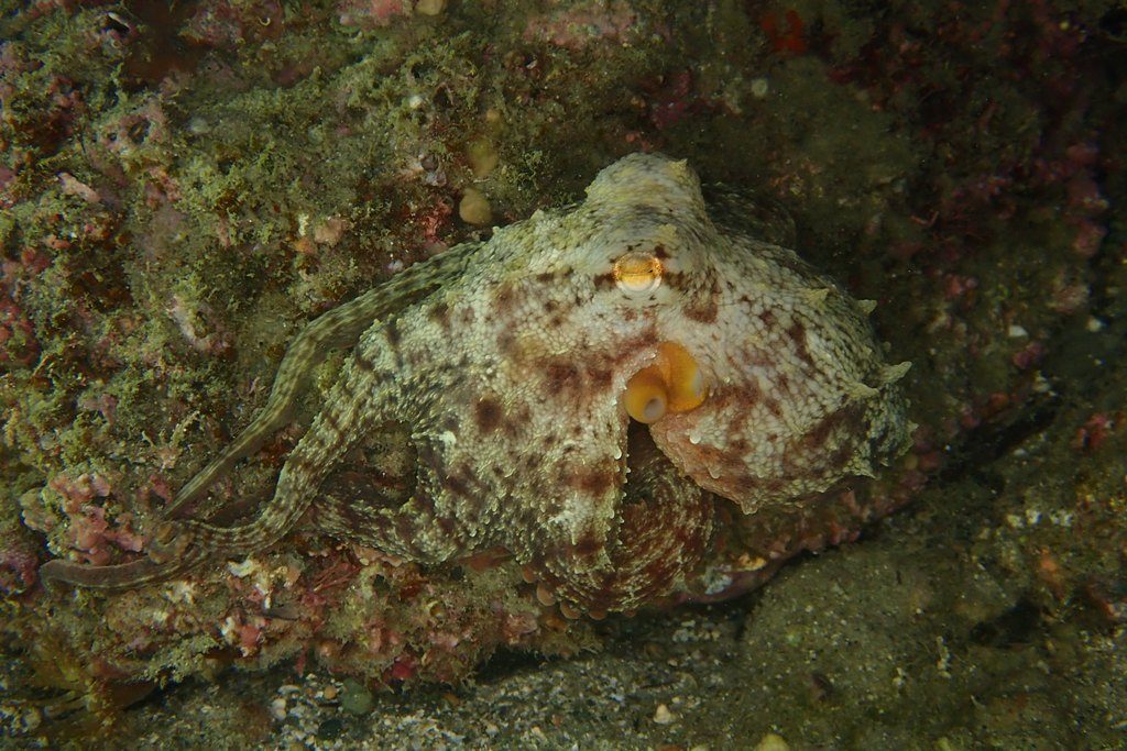 20201127恋の浦ナイト