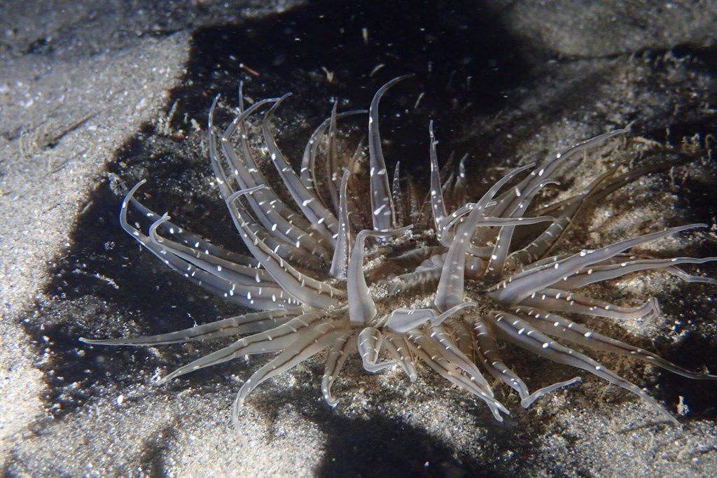 20201127恋の浦ナイト