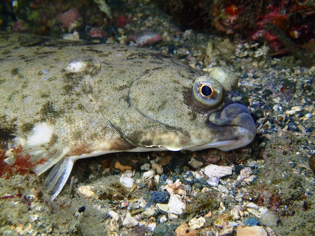 20210205恋の浦ナイト