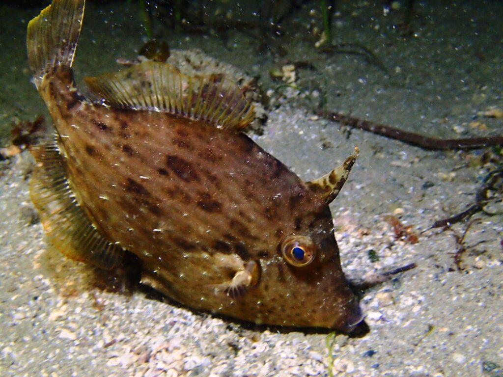 20210205恋の浦ナイト